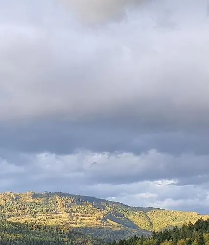 Cicha Polana * Szczyrk