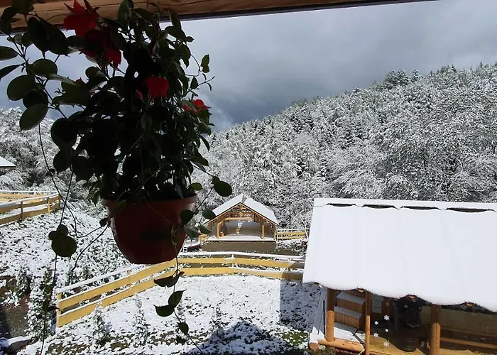 Lodge Cicha Polana Szczyrk